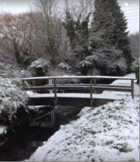 Bridge in the snow